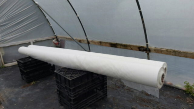 Fuud 19/11/2025 13:10:38