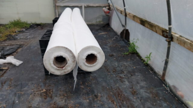 Fuud 19/11/2025 13:10:38