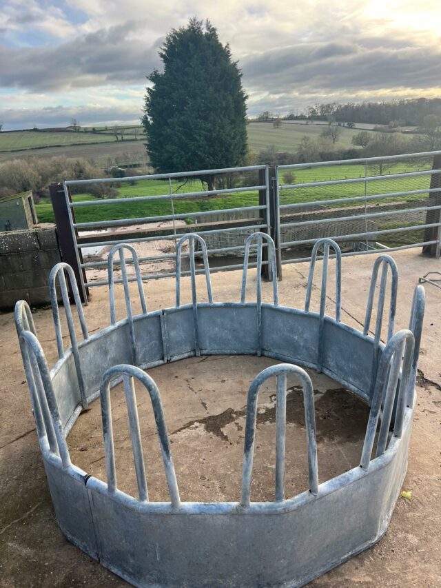 Galvanised Tombstone Cattle Feeder