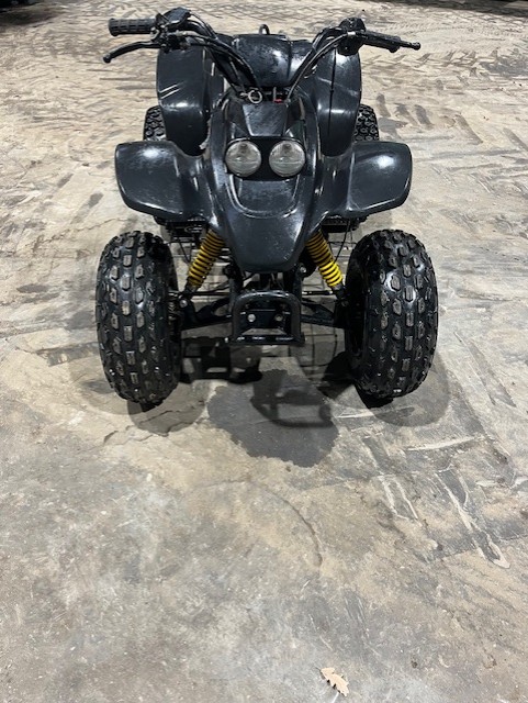 Quadzilla R100