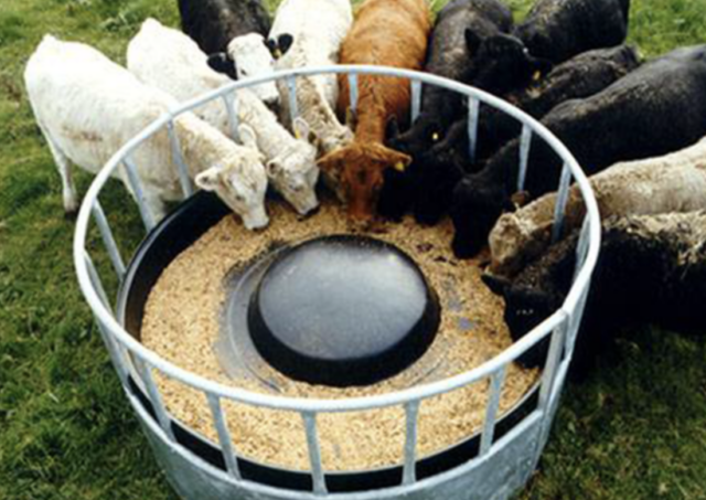 Very large livestock/horse trough feeder