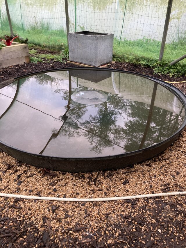 Very large livestock/horse trough feeder