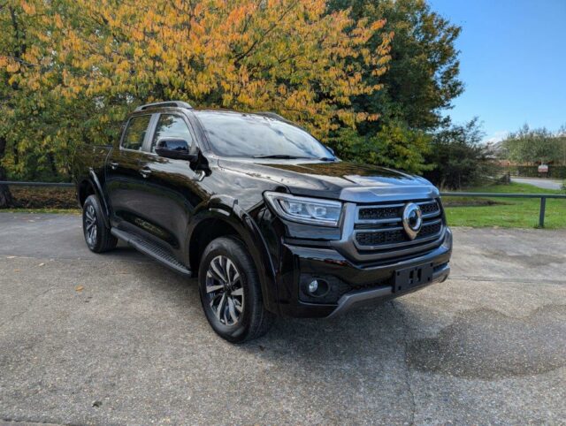 4M011672 GMW POER300 4WD PICK UP