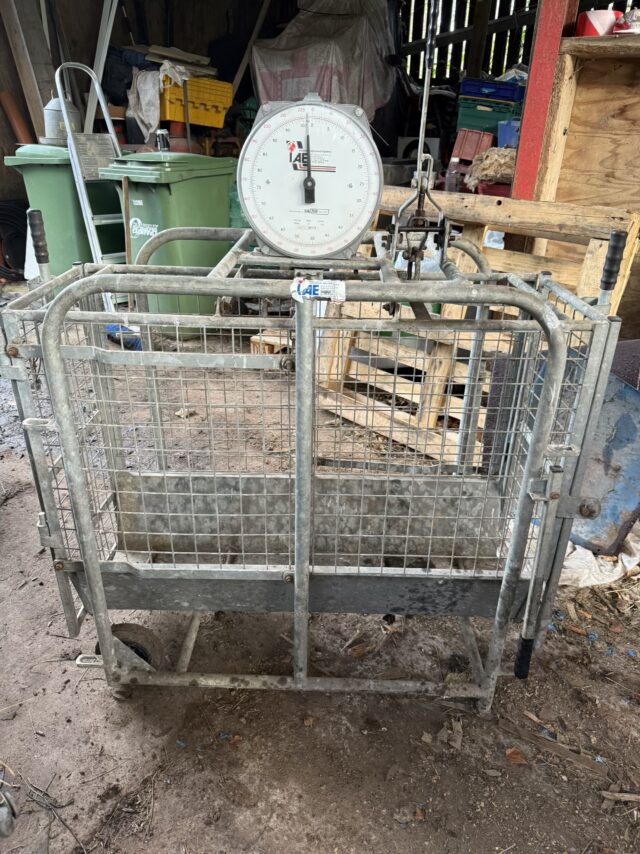 Small Livestock Scales