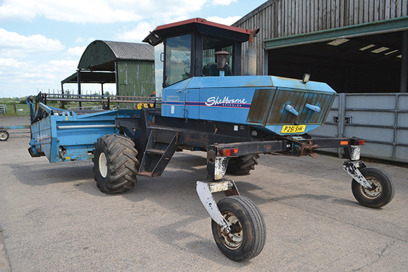 Shelbourne Reynolds Mentor