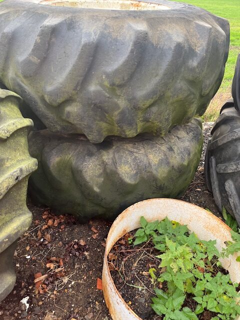 Steiger /Ford FW Wheels