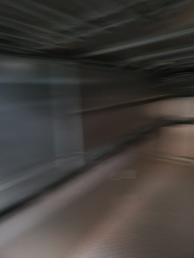 Beatsons cattle trailer