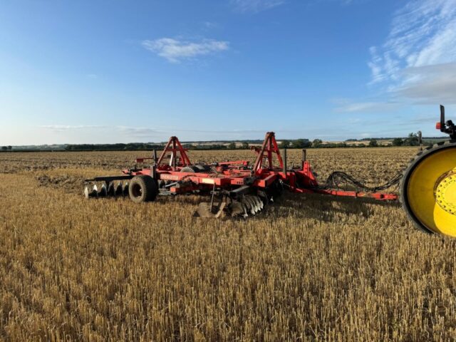 Quivoigne 6m Discs TineMaster