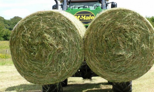 McHale Round Bale Handler 691