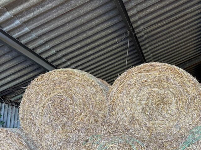 Round Bale Straw