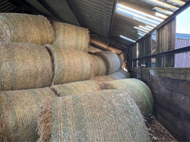 Round Bale Straw