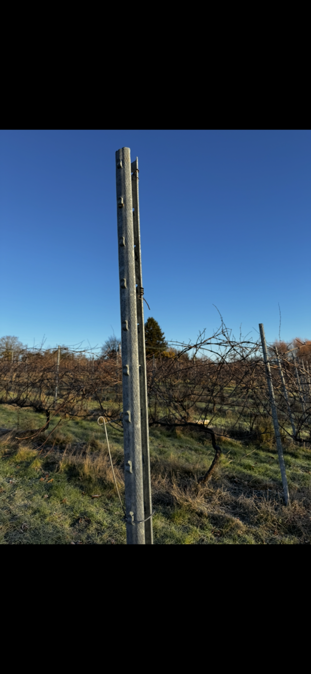 Galvanised Vineyard / Agricultural Poles