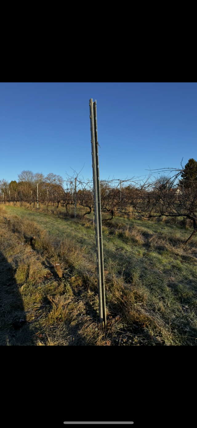 Galvanised Vineyard / Agricultural Poles