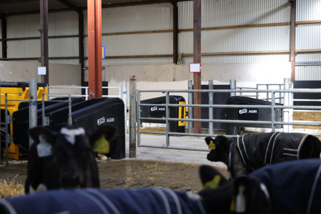 Automatic Calf Feeder
