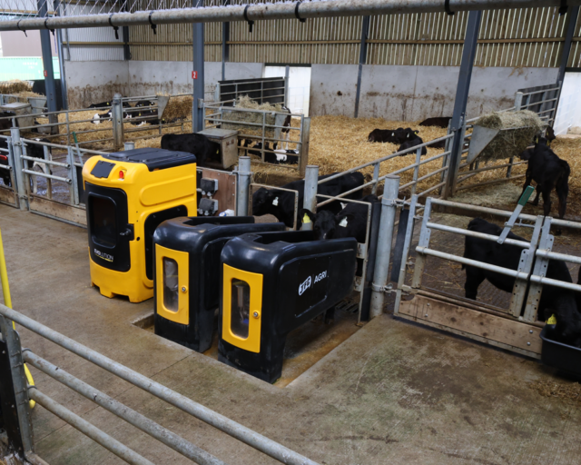 Automatic Calf Feeder