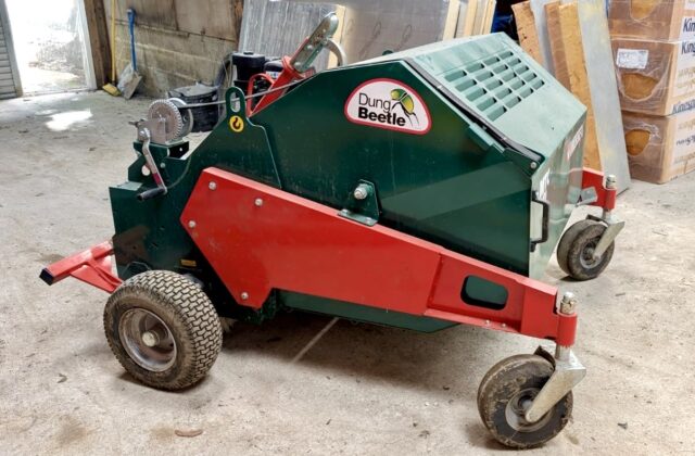 Wessex International Dung Beetle